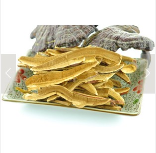 Leskokorka Lesklá(Lucid Ganoderma)